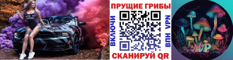 закладки  Усть-Джегута  дарк нет как зайти  Псилоцибиновые грибы прущие грибы  kraken зеркало 
